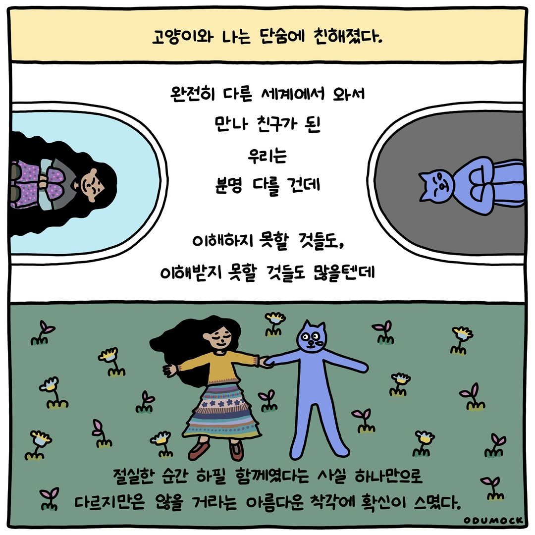 Photo shared by 오두목 툰 on April 14, 2026 tagging @otoonmock, and @odumock. May be a doodle of ‎text that says '‎고양이와 나는 고양이와나는단송에친해졌다. 단숨에 친해졌다. 완전히 다른 세계에서 와서 만나 친구가 된 우리는 분명 다를 건데 o 이해하지 못할 것들도, 이해받지 못할 것들도 많올텐데 س mn س m m سه & አለ o 京神中 절실한 순간 하필 함께였다는 사실 하나만으로 Se 다르지만은 않을 거라는 아름다운 착각에 확신이 스몇다. ODUMOCK an‎'‎.