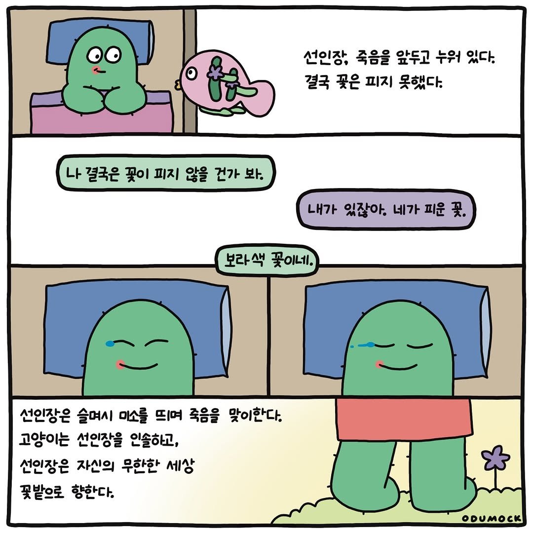 Photo shared by 오두목 툰 on February 13, 2026 tagging @otoonmock, and @odumock. May be a doodle of text that says '선인장 죽음을 앞두고 누워 누워있다. 있다. 결국 꽃은 피지 못했다. 나 결국은 꽃이 피지 않을 건가 봐. 내가 있잖아. 네가 피운 보라색 보라 꽃이네. 선인장은 슬며시 미소를 띄며 죽음을 맞이한다. 고양이는 선인장을 인솔하고, 선인장은 자신의 무한한 세상 꽂밭으로 향한다. ODUMOCK'.