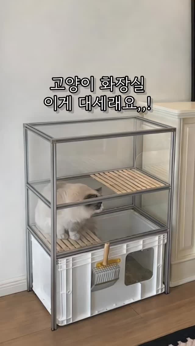 otte_interior 게시물 이미지: 여러분은 고양이 화장실 어디에 숨겨두고 있나요 ㅠㅠ 

인테리어 안 망치는 냥이...
