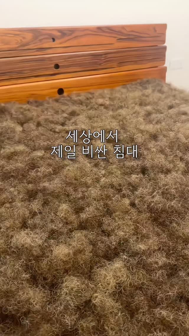 otte_interior 게시물 이미지: 😴 아이유·제니도 선택한 바로 그 침대 🐎

✅ 말 꼬리·갈기털로 만든...
