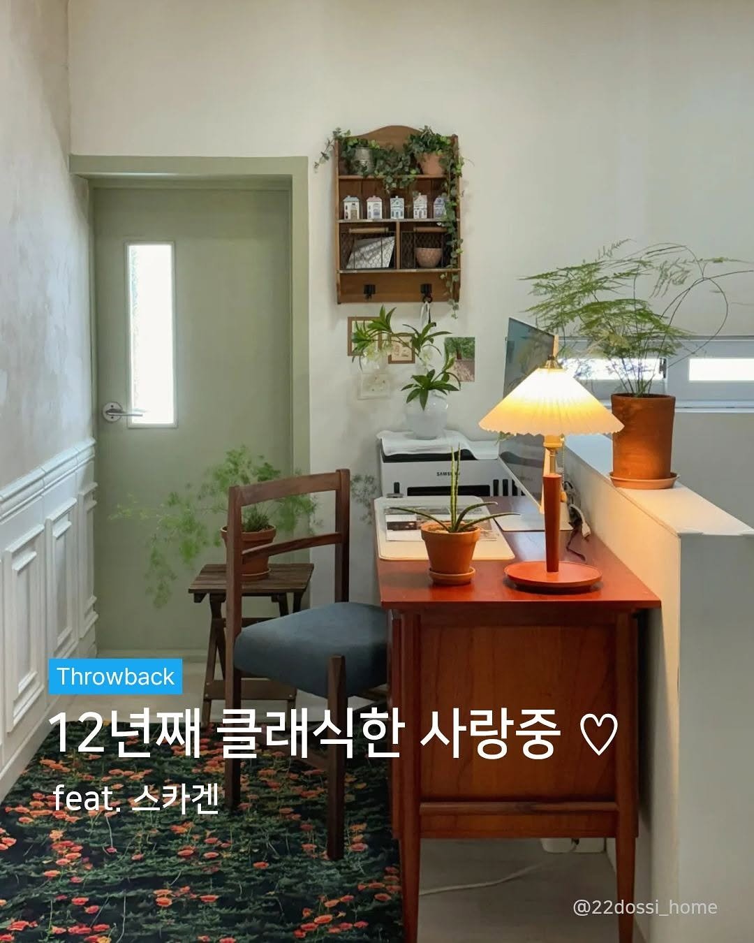 Photo by 오투가구 on September 22, 2025. May be an image of house plant and text that says '向自鼻龍色 22W Throwback 12년째 클래식한 사랑중 feat, 스카겐 @22dossi_home'.