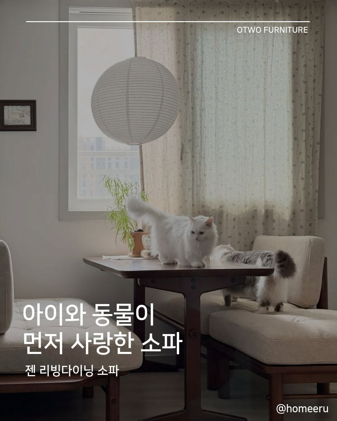 Photo by 오투가구 on December 23, 2025. May be an image of text that says 'OTWO FURNITURE 누김 网 အဘခင် HD 아이와 동물이 먼저 사랑한 소파 젠 리빙다이닝 소파 @homeeru'.
