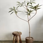 iam_so_lazy 프로필 사진