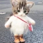 hee2_ing 프로필 사진