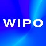 wipo 프로필 사진
