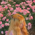 hyegye_fd 프로필 사진