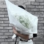 cequence._ 프로필 사진