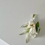 onirique_flowerstudio 프로필 사진