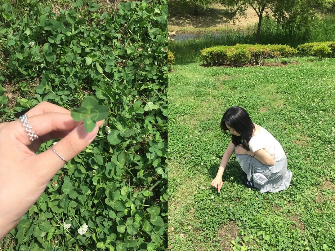 owoxuo 게시물 이미지: 행운을 열시미 찾음..~~~🍀🔍

#fyp #ootd