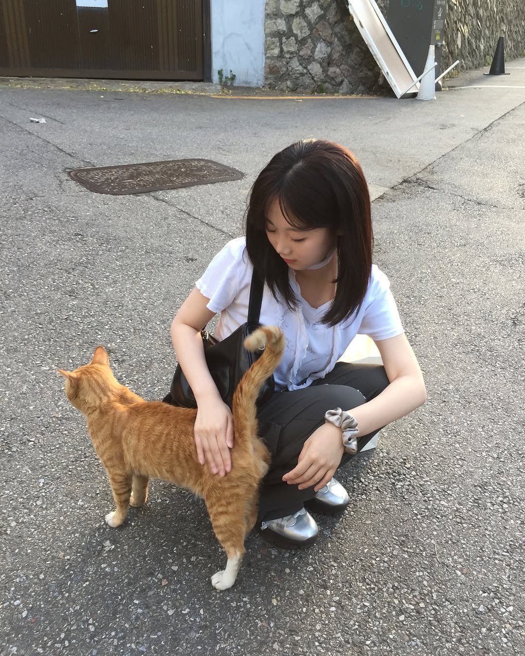 owoxuo 게시물 이미지: 🐈🤎