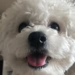 stay__adorable__ 프로필 사진