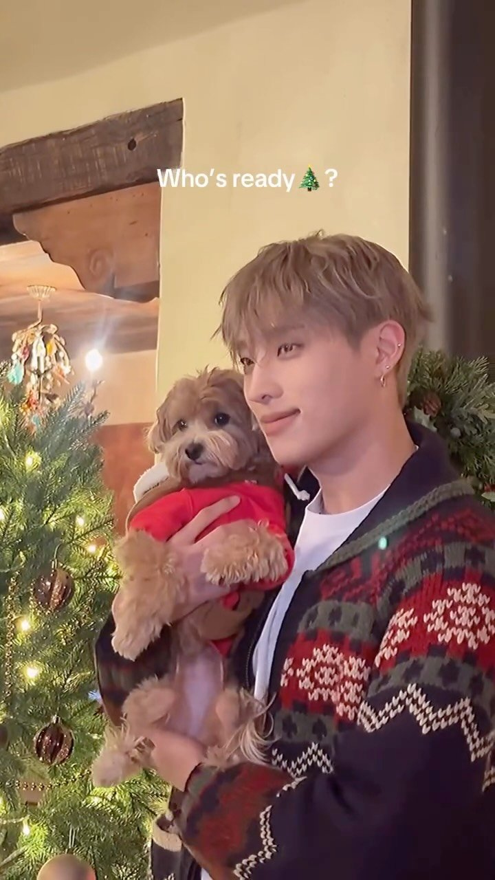 p1h_official 게시물 이미지: kyo is!!!

#P1Harmony #피원하모니 #P1H