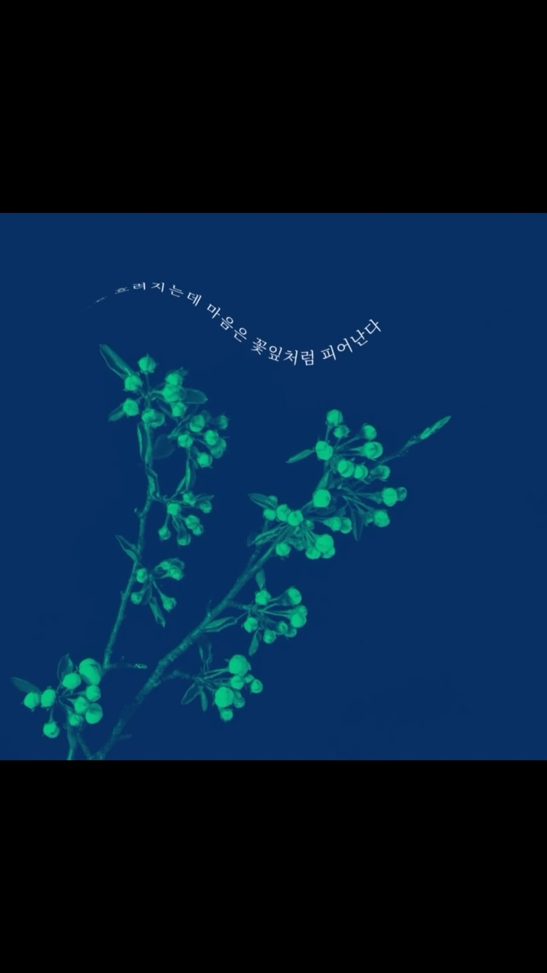 p_rocky 게시물 이미지: 라키 진짜 말 안할래 똑똑 저기요...?🚪
ROCKY 《UNSAID》 3RD...