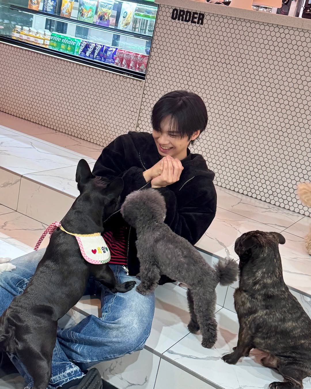 Photo by 라키 on November 23, 2025. May be an image of Groenendael, Bedlington terrier and text.