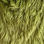 pacosply 인스타그램 프로필 사진