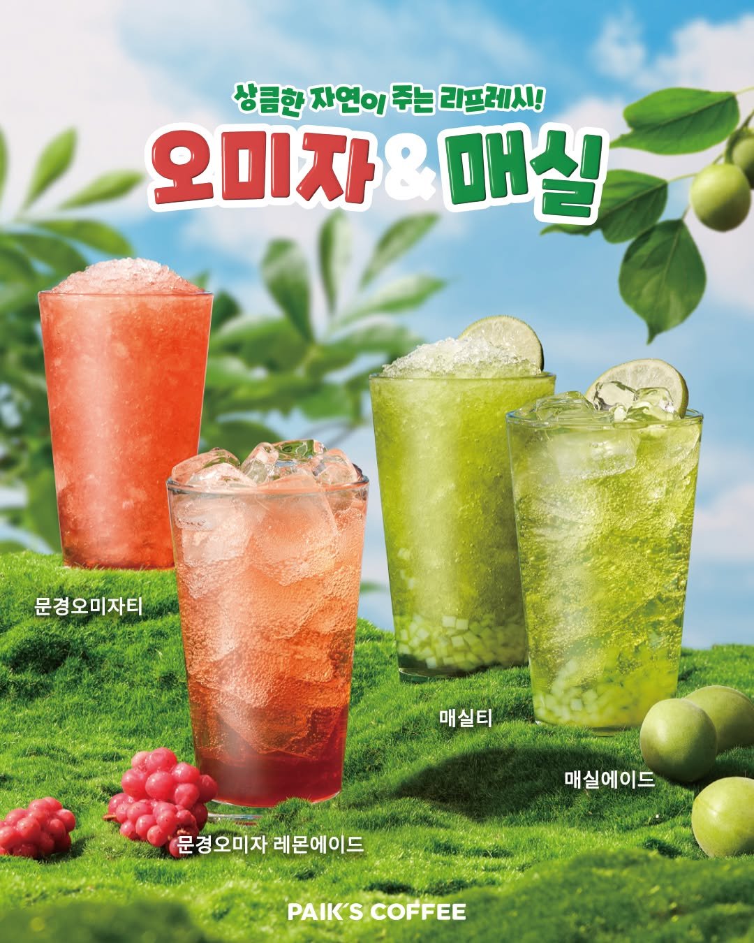 Photo by 빽다방 on August 20, 2025. May be an image of watermelon, smoothie, juice, sparkling water and text that says '상큼한 자연이 주는 상큼한자연이주느리프레시! 리프레시! 오미자&매 매실 오미자 문경오미자티 매실티 닐티 매실에이드 문경오미자 문경오미자레몬에이드 레몬에이드 PAIK'S COFFEE'.