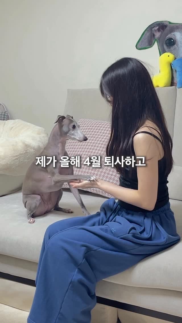 pairing_record 게시물 이미지: 재취업 vs 킹율 vs 서울대