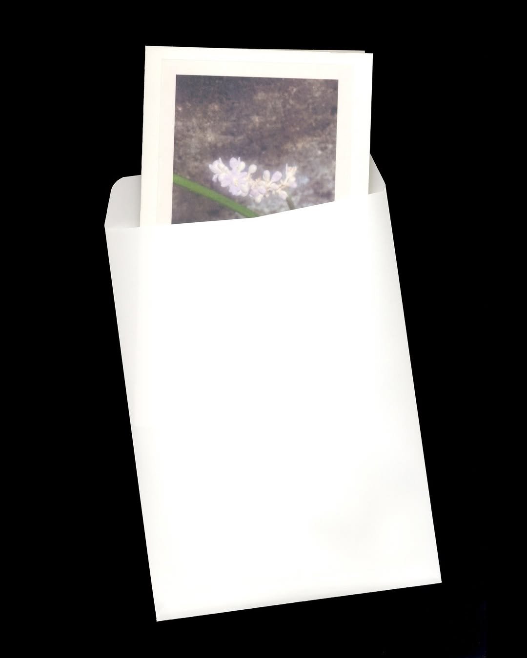 Photo shared by PaTI on September 14, 2025 tagging @gimthese. May be an image of tea, napkin, herb and text.
