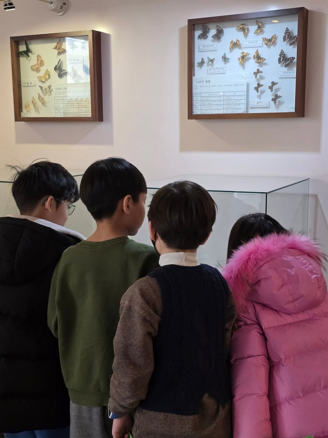 Photo by 파주나비나라박물관 on February 05, 2026. May be an image of one or more people, display case and text.