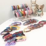 _rainbowstory 프로필 사진