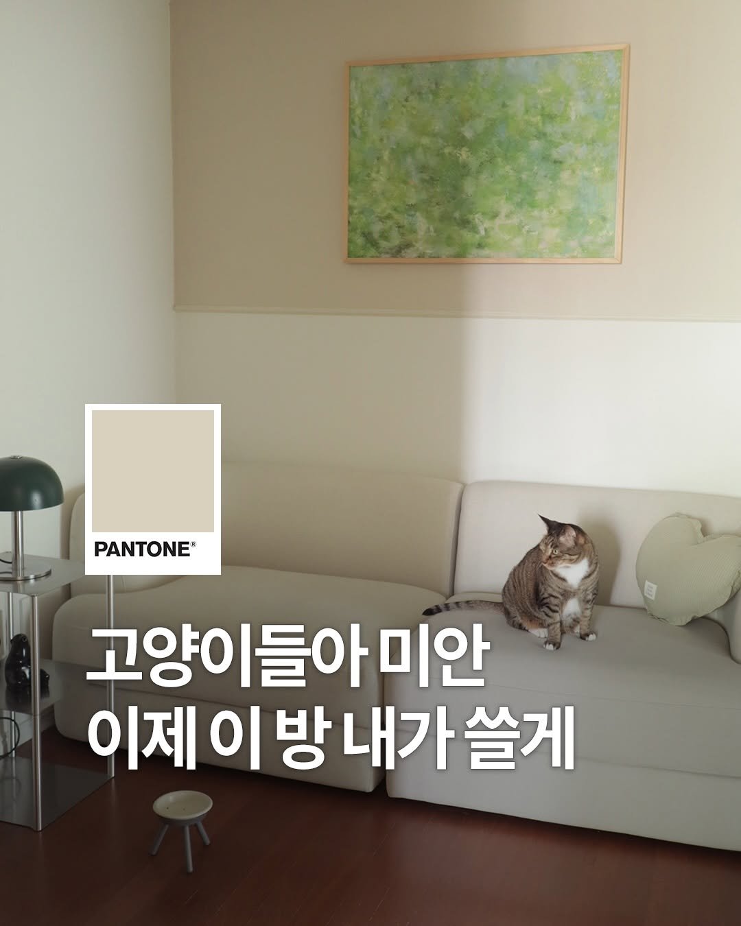 pantonepaint 게시물 이미지: ⠀
고양이 화장실로 쓰던 캄캄한 방...🐈
⠀
냥이들 화장실은 옮겨주고
이 방은...