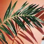 ing_ssssss 프로필 사진