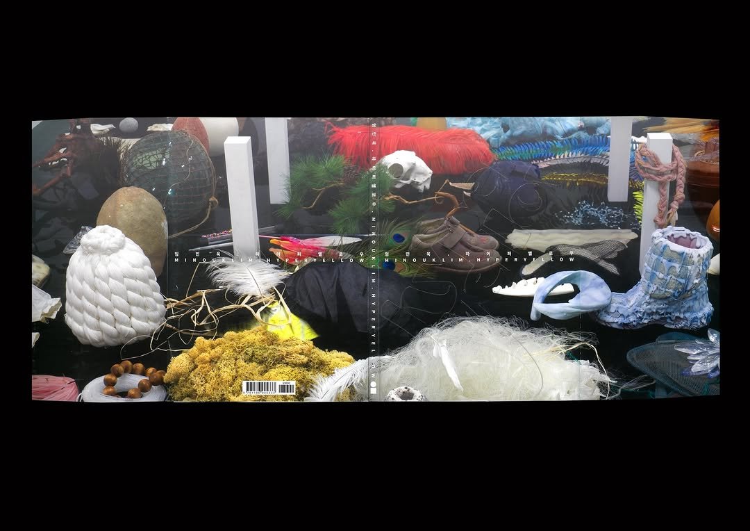 Photo shared by paper press on February 05, 2026 tagging @ilminmuseumofart. May be an image of swan and text.