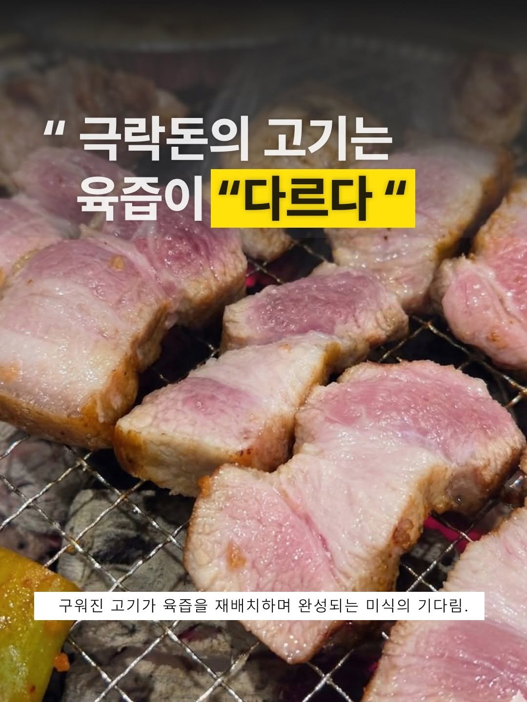 Photo by 극락돈 on April 13, 2026. May be an image of grill, pork and text that says '극락돈의 고기는 육즙이 육즙이"다르다 "다르다' 구워진 고기가 육즙을 재배치하며 완성되는 미식의 기다림.'.