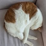 heosungtae 프로필 사진