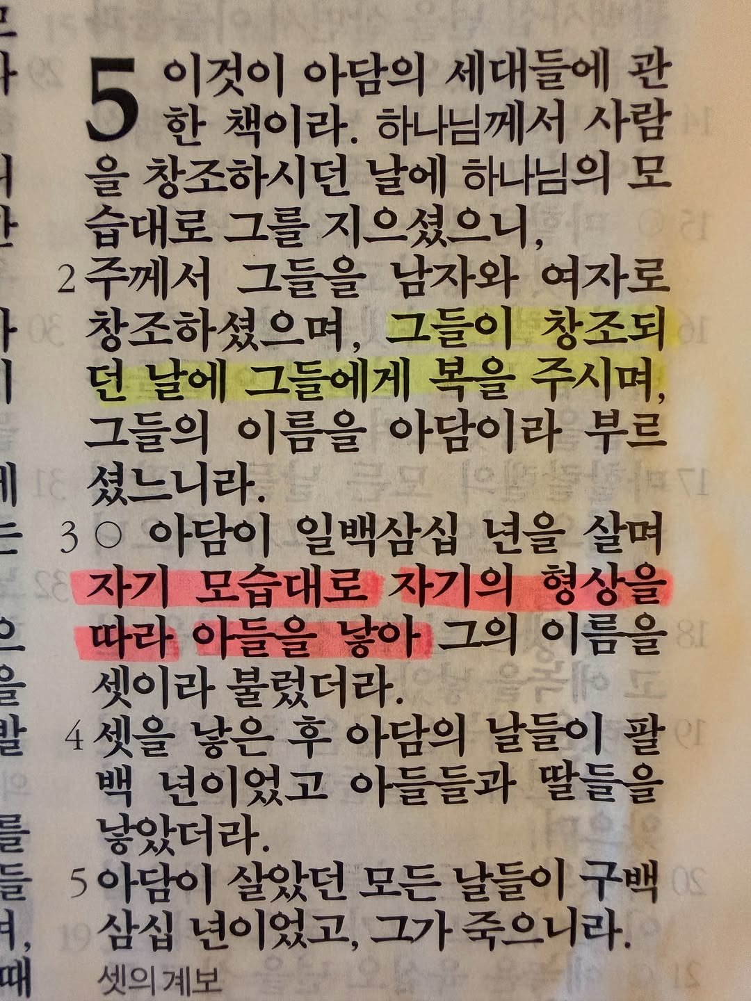 parkjihye7702 게시물 이미지: 오늘 아담의 아들 셋에 대한 묘사가 너무 익숙해 깜짝 놀랐어요.
자기 모습대로,...