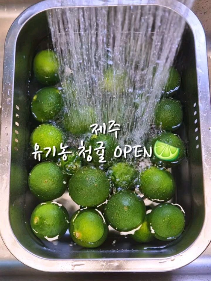 parkjihye7702 게시물 이미지: 🍋🟩드디어 제주 유기농 청귤 수확 시작했어요😆
많이 기다리셨지요?
🍋유기농 레몬...