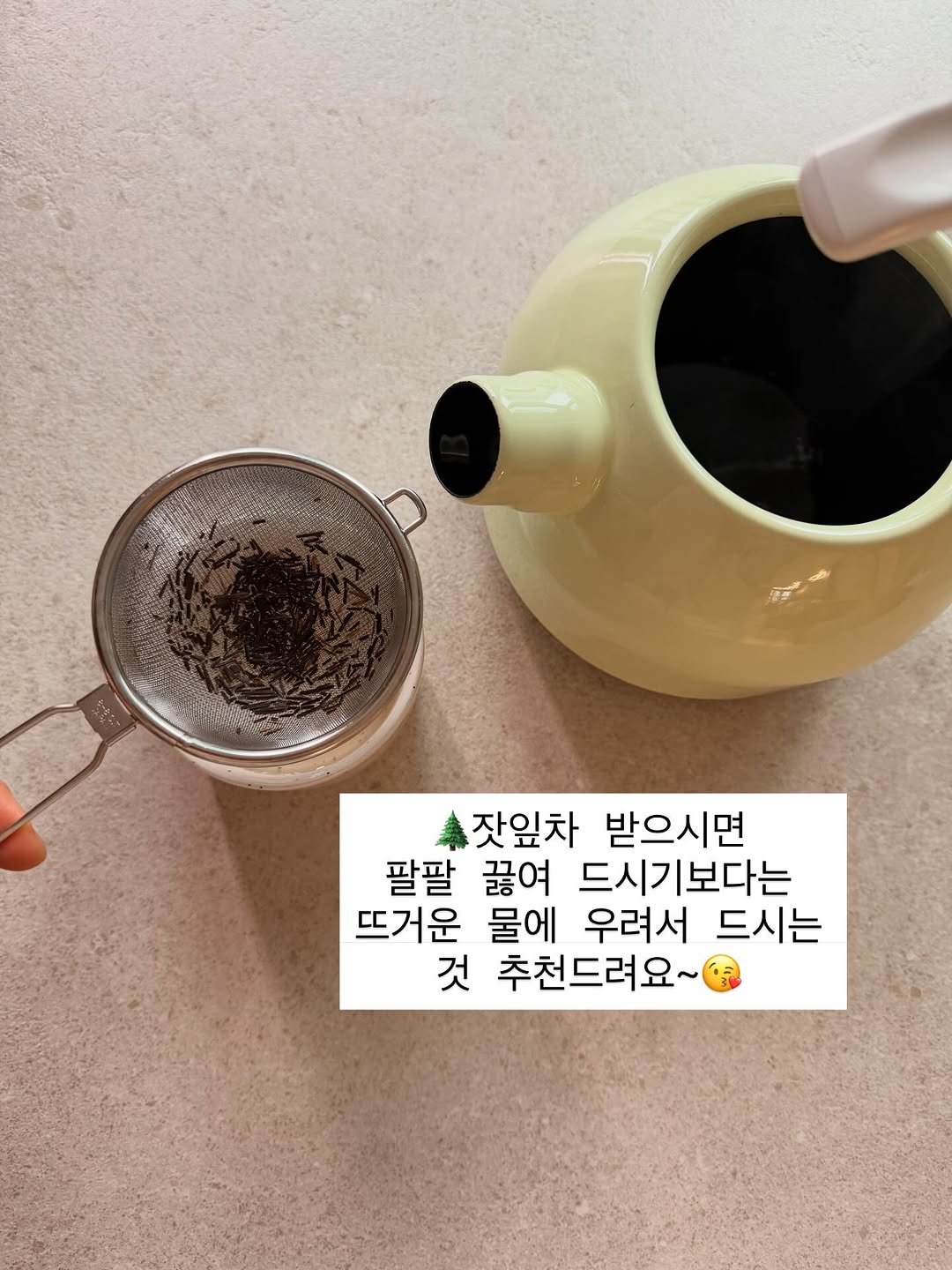Photo by Ji Hye Park on February 12, 2026. May be an image of tea maker, tea, coffee cup, strainer, coffee maker, teapot and text that says 'ဏ 猪泉 잣잎차 받으시면 팔팔 끓여 드시기보다는 뜨거운 물에 우려서 드시는 것 추천드려요~'.