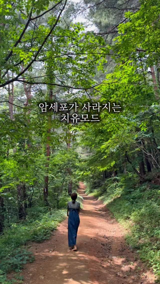 parkjihye7702 게시물 이미지: 쉬어야 할 때 쉬지않으면
몸은 🌱치유모드로 들어가지 못한다.

생각을 멈추어야 할...