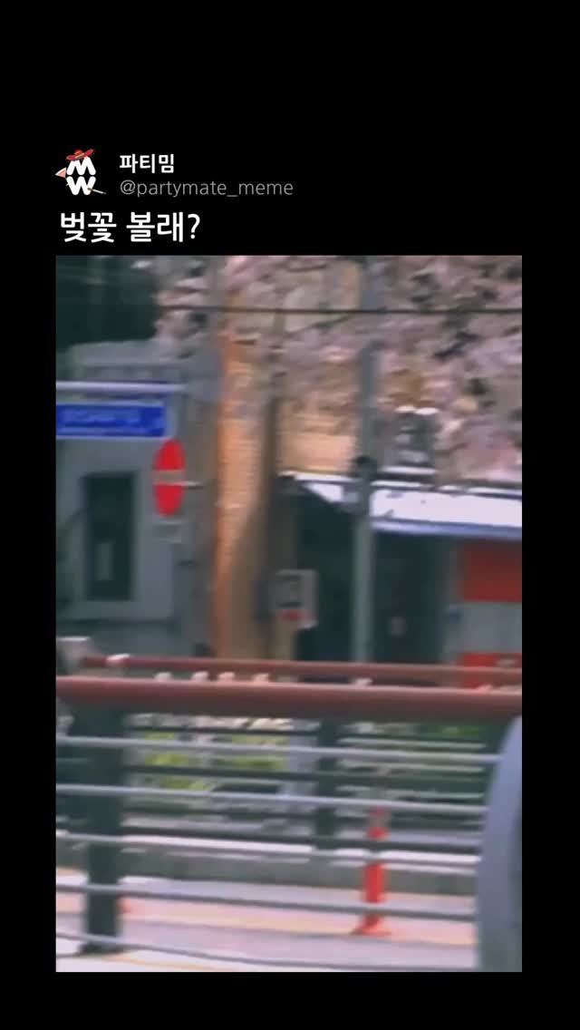 partymate_meme 게시물 이미지: 벚꽃 ㅂ얼마 안남았다~

Photo by @jasunea_0505