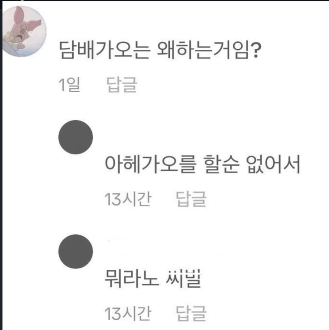 Photo by 파티밈 on February 14, 2026. May be an image of text that says '담배가오는 왜하는거임? 1일 답글 아헤가오를 할순 없어서 13시간 답글 뭐라노 씨발 13시간 답글'.
