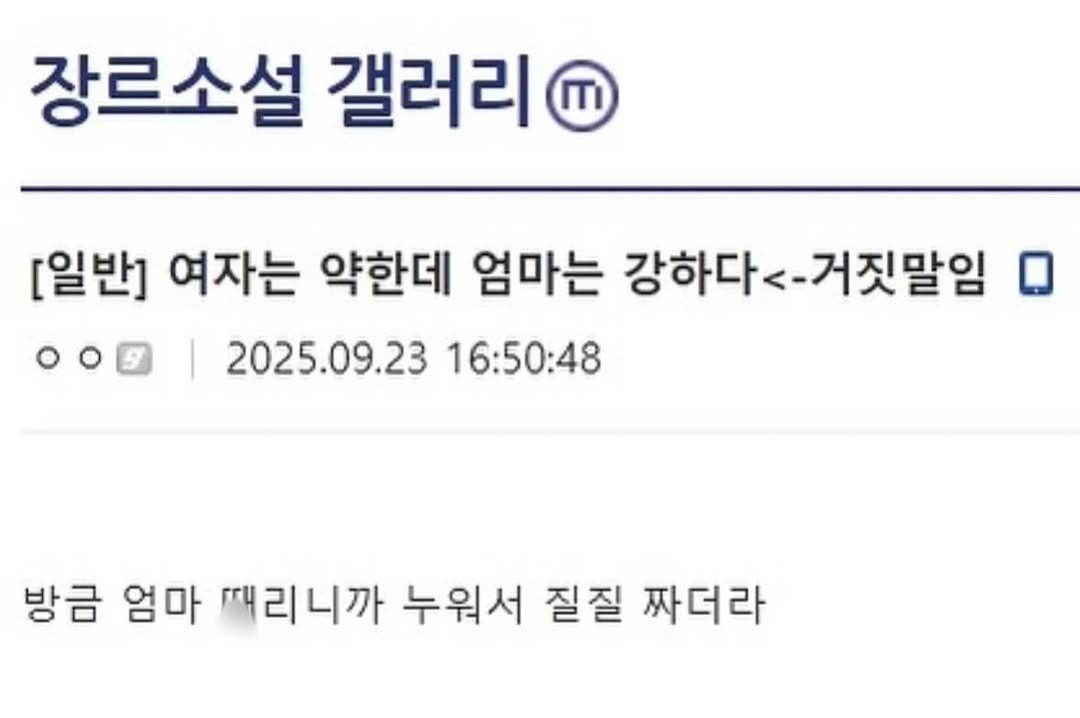 Photo by 파티밈 on October 30, 2025. May be an image of text that says '장르소설 갤러리 ٣٣ [일반] 여자는 약한데 엄마는 강하다< -거짓말임 0 oo Ο 2025.09.23 16:50:48 방금 엄마 팩리니까 누워서 질질 짜더라'.