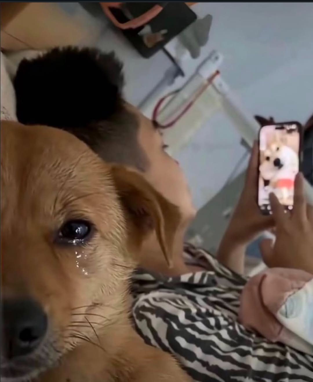 Photo by 파티밈 on March 05, 2025.