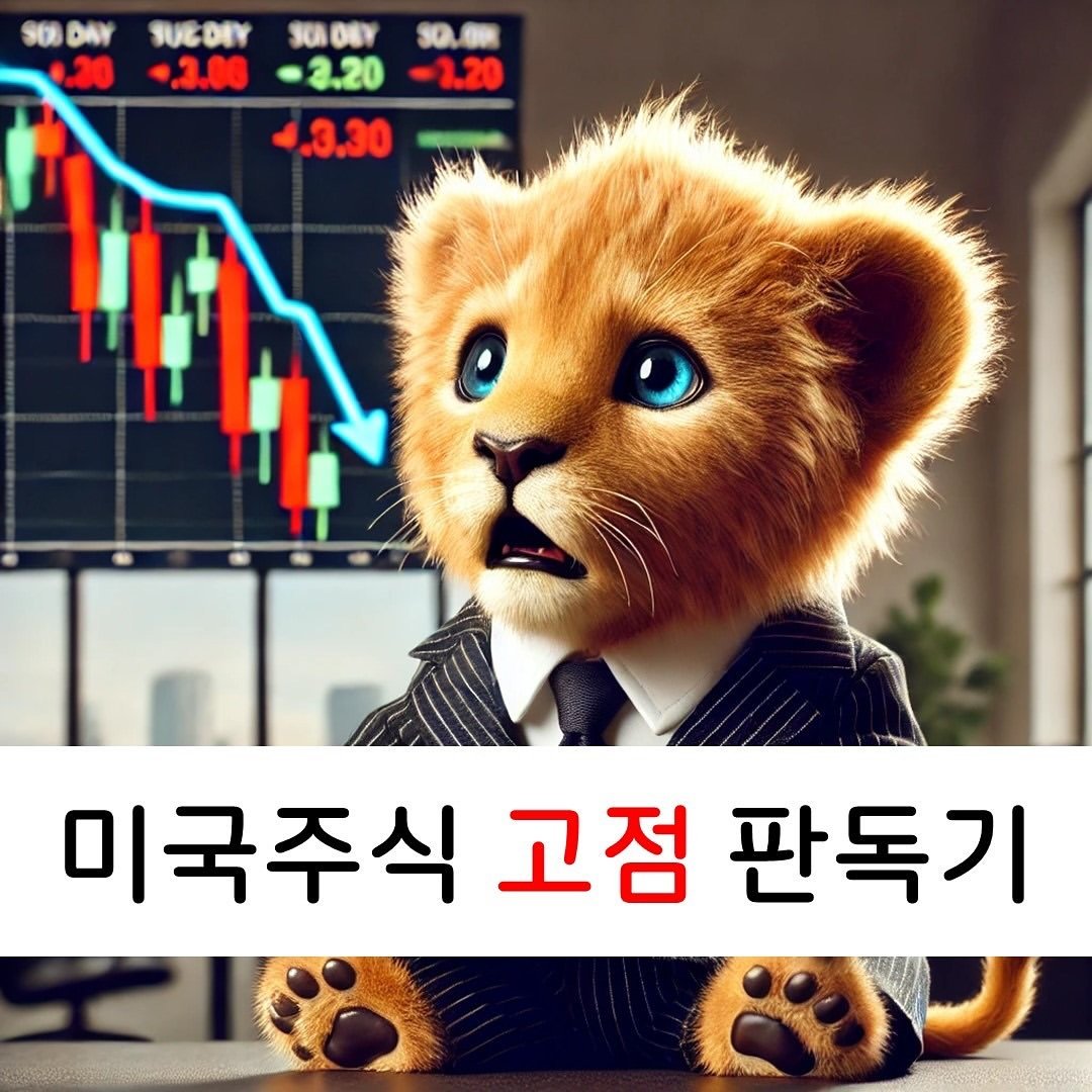 Photo by 라이온 l 미국주식 투자 l 직장인 재테크 on January 12, 2025.