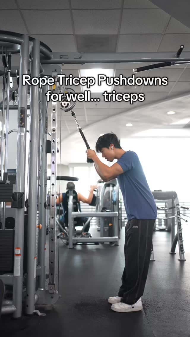 pathradecha 게시물 이미지: The rope tricep pushdown is probably one of...