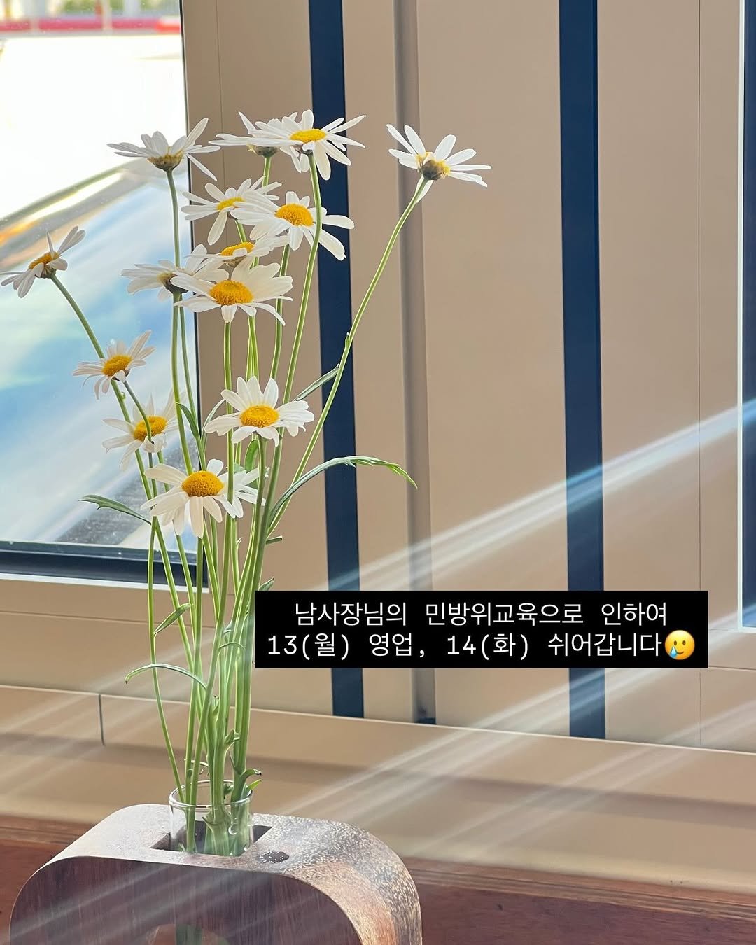 Photo by 단추과자상점 | 청리단길 | 디저트카페 | 다쿠아즈 | 수제디저트 | 두바이쫀득쿠키 on April 12, 2026. May be an image of flower arrangement, flower pot, baby's-breath and text that says '남사장님의 민방위교육으로 인하여 13(월) 13 (월) 영업, 14 14(화) (화) 쉬어갑니다'.