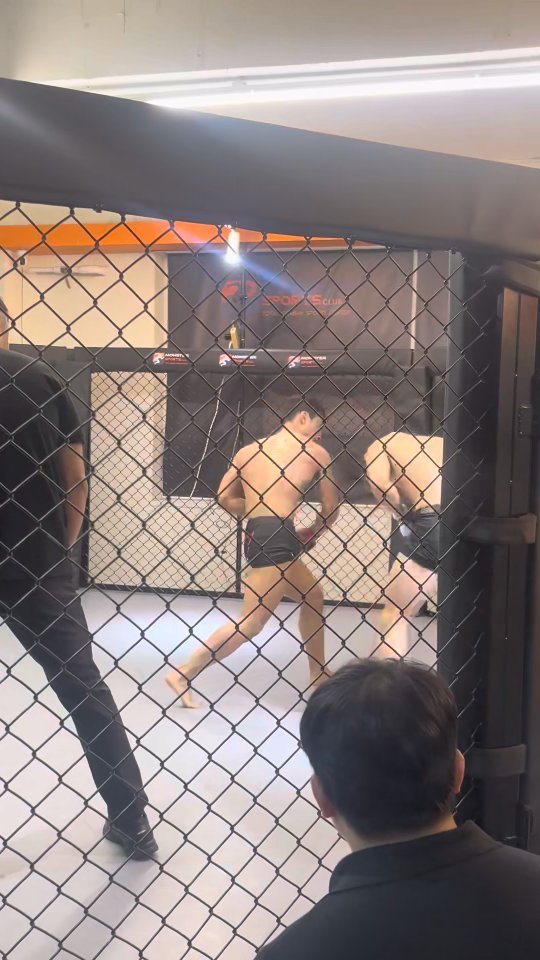 pboymma 게시물 이미지: 조태준 코치님의
프로 2연승 ko승!!!!!
피보이mma 단단하게 올라가는...