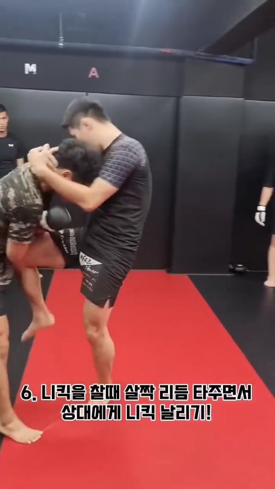 pboymma 게시물 이미지: 기초 뺨클린치 니킥 차는법!
기초적인 공격이니 연습해 보세요!
.
#송파mma...