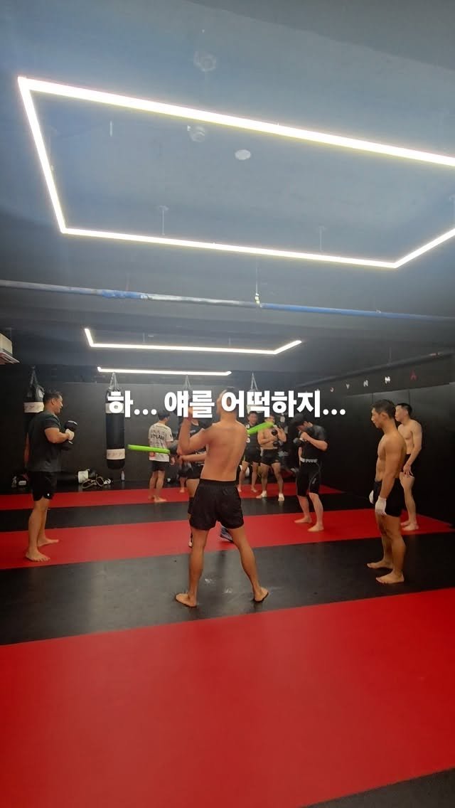 pboymma 게시물 이미지: 하.... 얘를 어떡하지...
진짜 죽일....까...
.
🥊남녀노소 누구나 즐겁게...