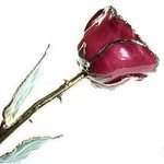 3bi.ya 프로필 사진