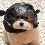 lo_u2s 프로필 사진