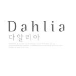 dahlia_office 프로필 사진
