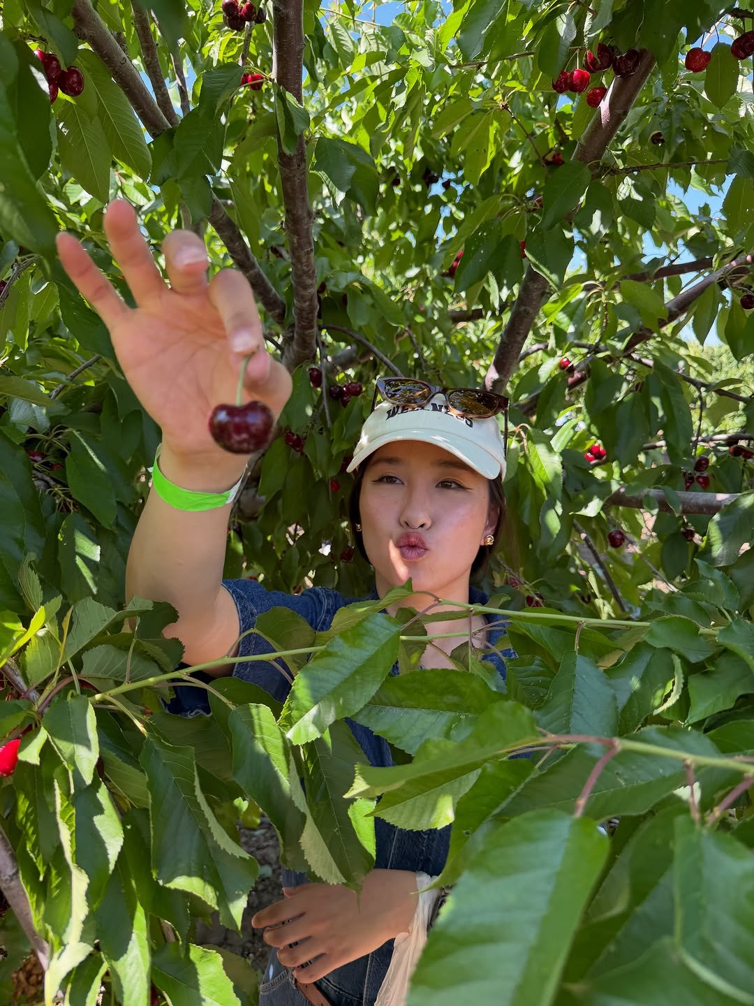 peggy_shoo 게시물 이미지: is it summer yet? 🍒🍓🍇🍪🥛🌷