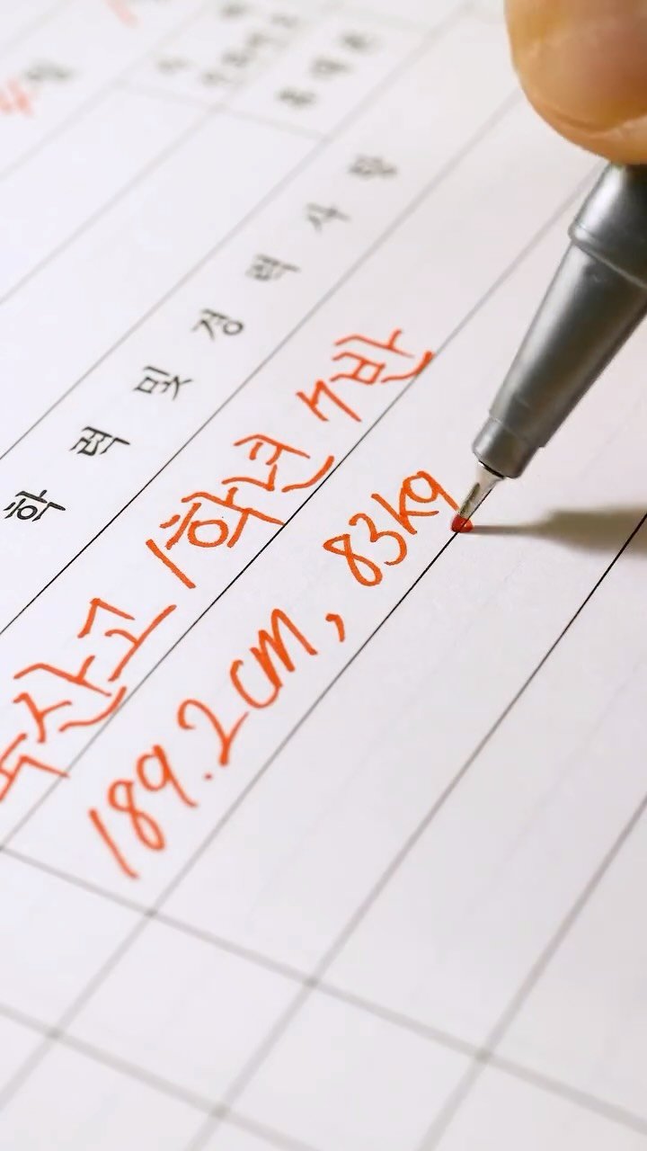 pencraft_ 게시물 이미지: 북산의 천재 강백호