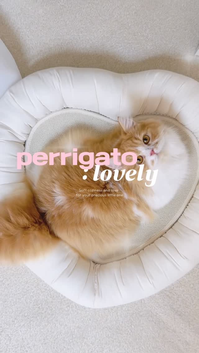 perrigato_official 게시물 이미지: #댓글이벤트 #고양이스크래쳐 #쿠션

긁는 재미와 포근한 휴식을 한 번에✨
페리가토...