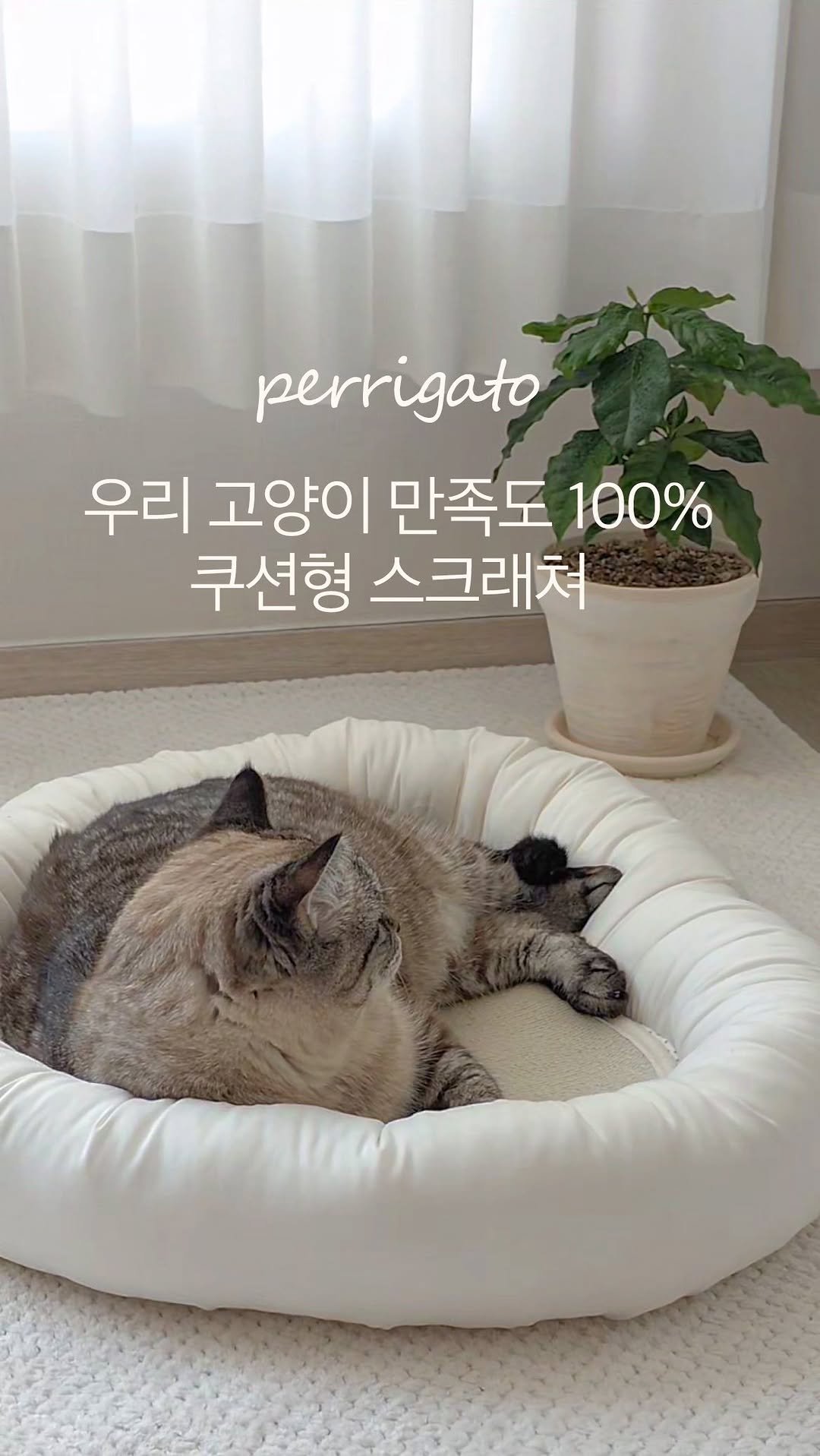 perrigato_official 게시물 이미지: #댓글이벤트 #고양이스크래쳐

페리가토 고양이 패브릭 스크래쳐🐾
감성 넘치고 예쁨...